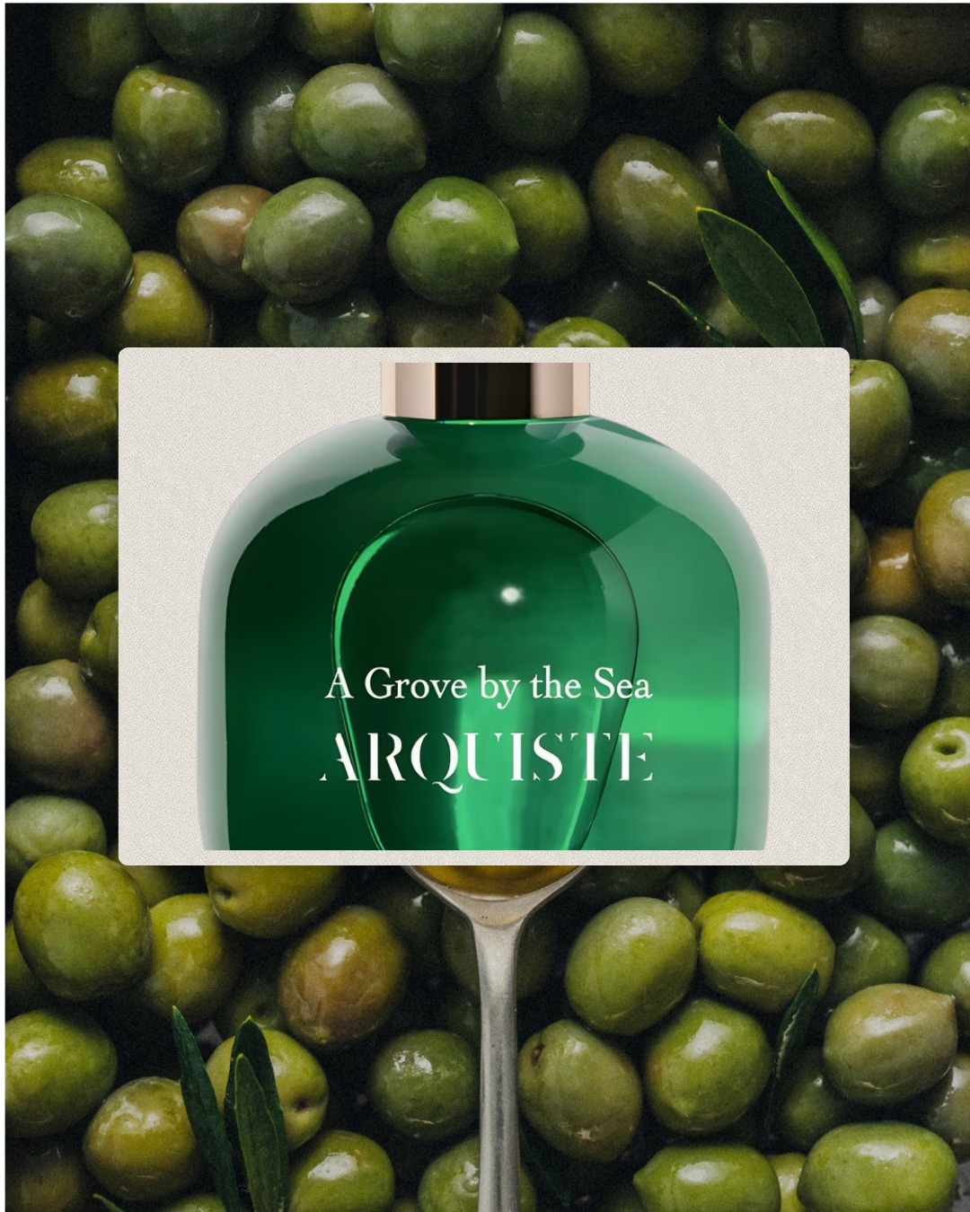 A Grove by the Sea editorial fragrance photograph