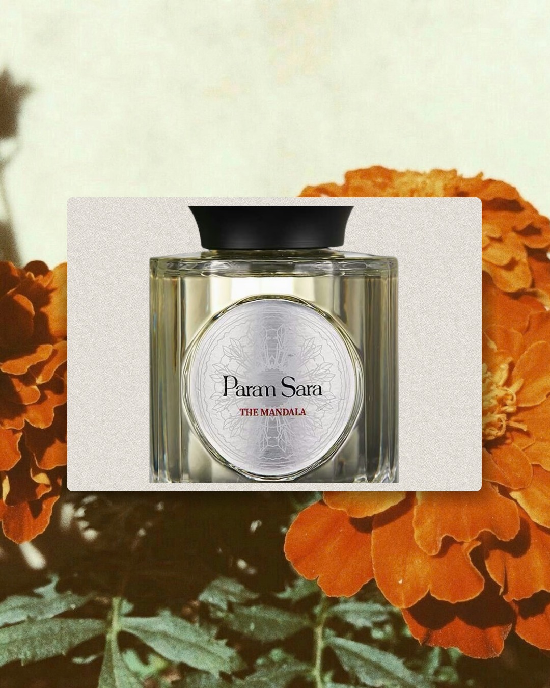 The Mandala editorial fragrance photograph